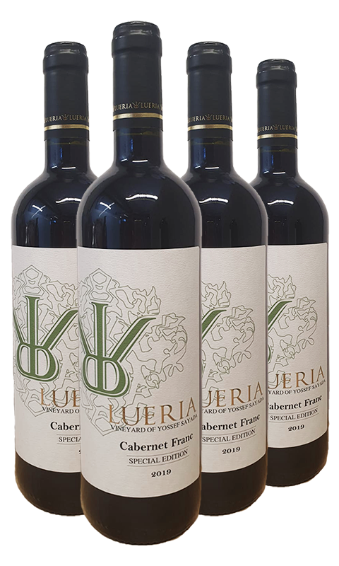 לוריא ספיישל אדישין קברנה פרנק